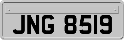 JNG8519