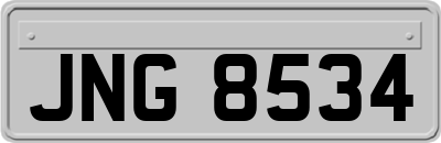 JNG8534
