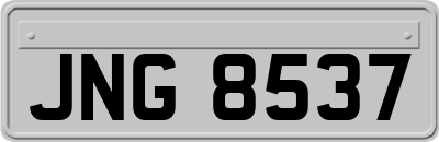 JNG8537