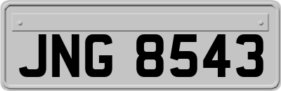 JNG8543