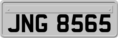 JNG8565