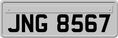 JNG8567