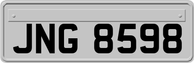 JNG8598
