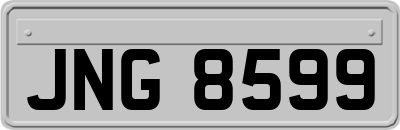JNG8599
