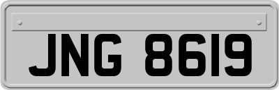 JNG8619