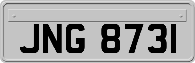 JNG8731