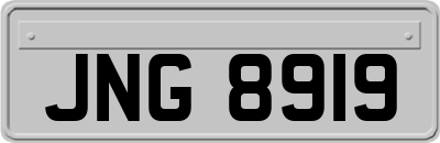 JNG8919