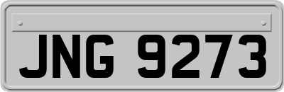 JNG9273