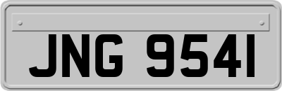 JNG9541