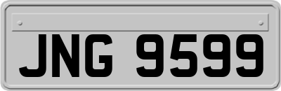 JNG9599