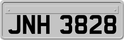JNH3828