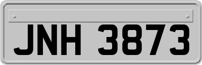 JNH3873
