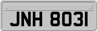JNH8031