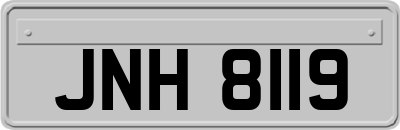 JNH8119