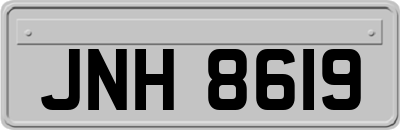 JNH8619