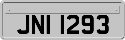 JNI1293