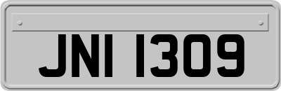 JNI1309