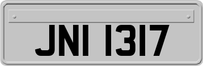 JNI1317
