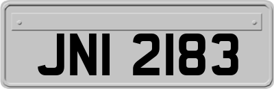 JNI2183