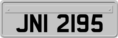 JNI2195