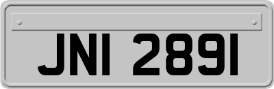 JNI2891