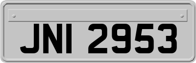 JNI2953