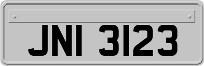 JNI3123