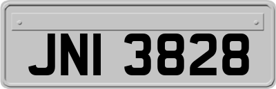 JNI3828