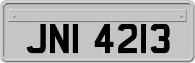 JNI4213