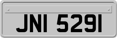 JNI5291