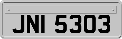 JNI5303