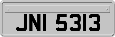 JNI5313
