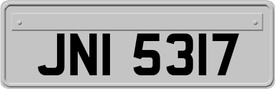 JNI5317