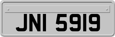JNI5919