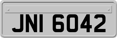 JNI6042