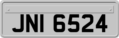 JNI6524