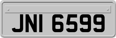 JNI6599