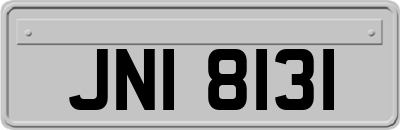 JNI8131