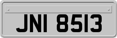 JNI8513