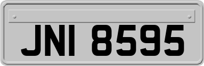 JNI8595