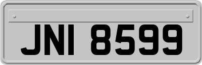 JNI8599