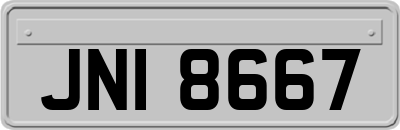JNI8667