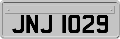 JNJ1029