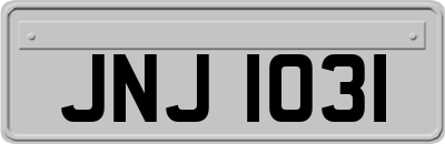 JNJ1031
