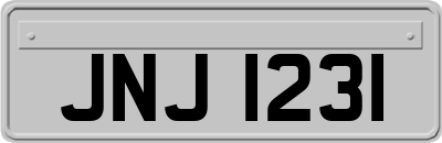 JNJ1231