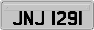 JNJ1291