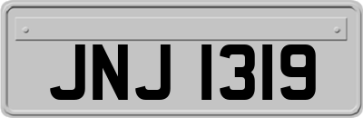 JNJ1319