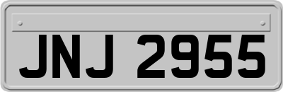JNJ2955
