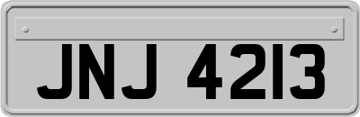 JNJ4213