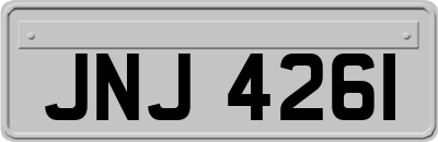 JNJ4261